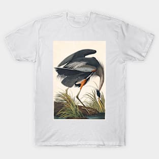 Great Blue Heron Robert Havell after John James Audubon 1834 Art Print T-Shirt